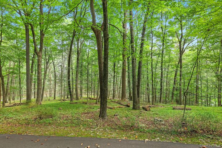 Property Photo:  7 Vincent Lane  NY 10504 