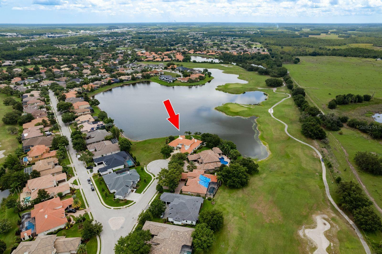 Property Photo: 10342 Altrara Way FL 34655