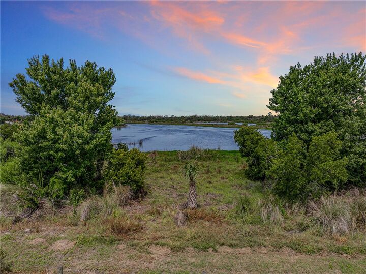 Property Photo: 1701 Bonita Bluff Court FL 33570