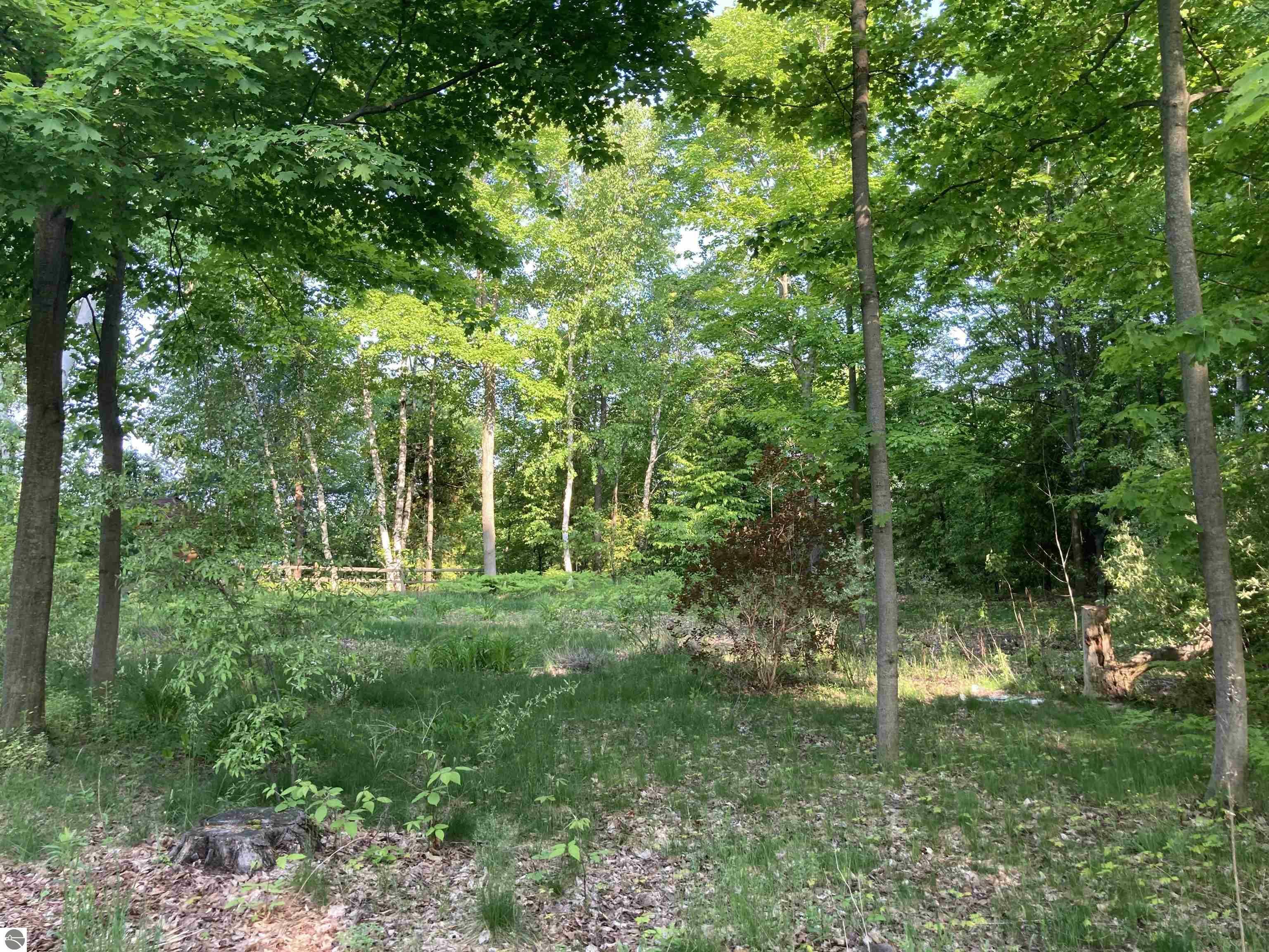 Property Photo: 15615 Upper Birch Drive MI 49686