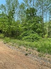 Arabian Drive  Rogers AR 72756 photo