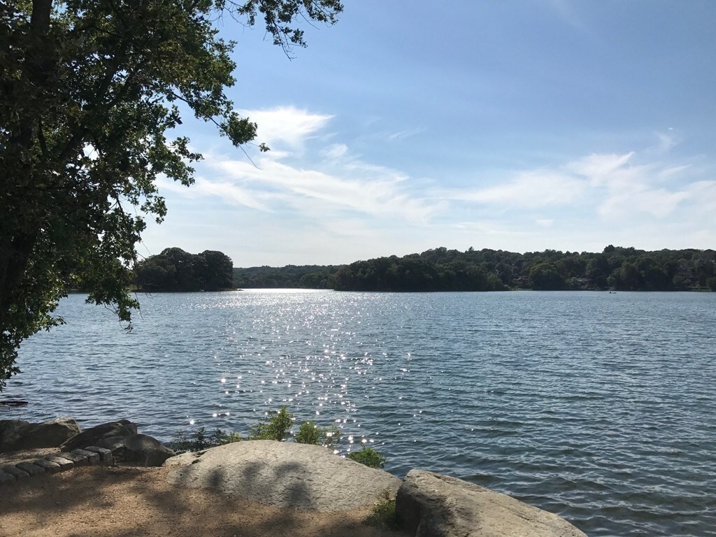 Property Photo: 32 Hamilton Rd 205 MA 02474