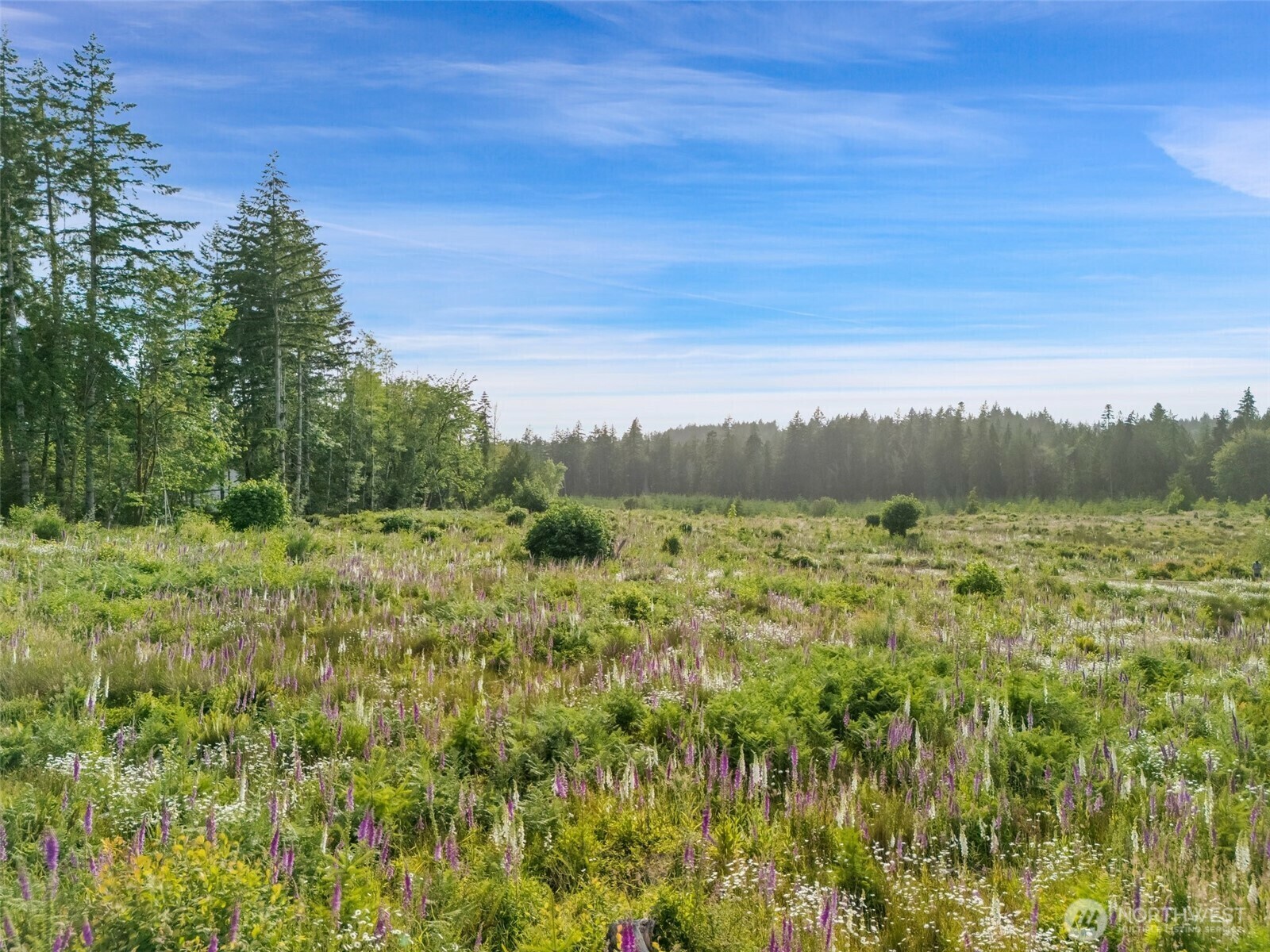 Property Photo: 0 Tr2 SE Wellswood Way WA 98584