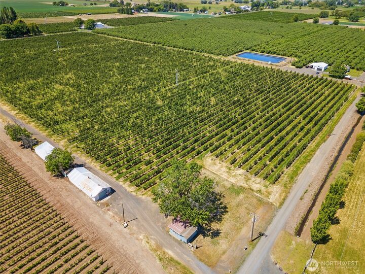 0  Trumbull  Milton-Freewater OR 97862 photo