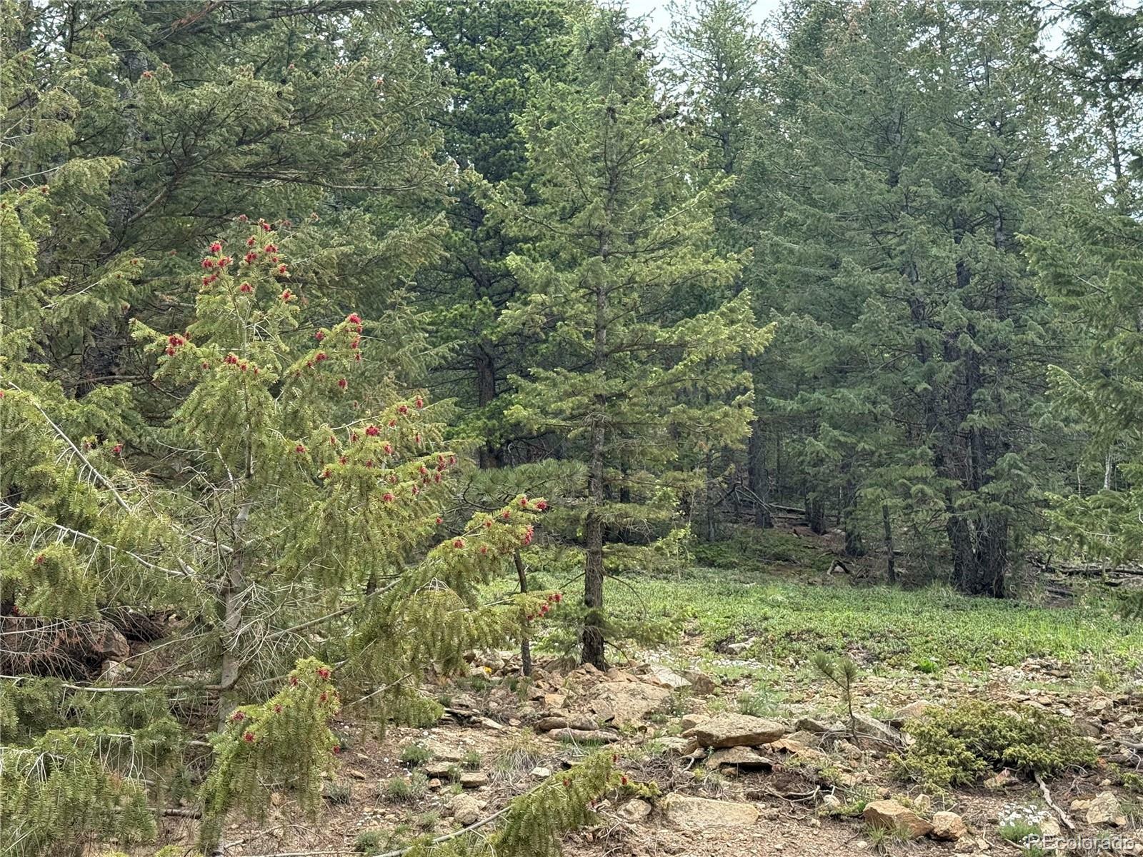 Property Photo: 1700 Dory Hill Road CO 80422