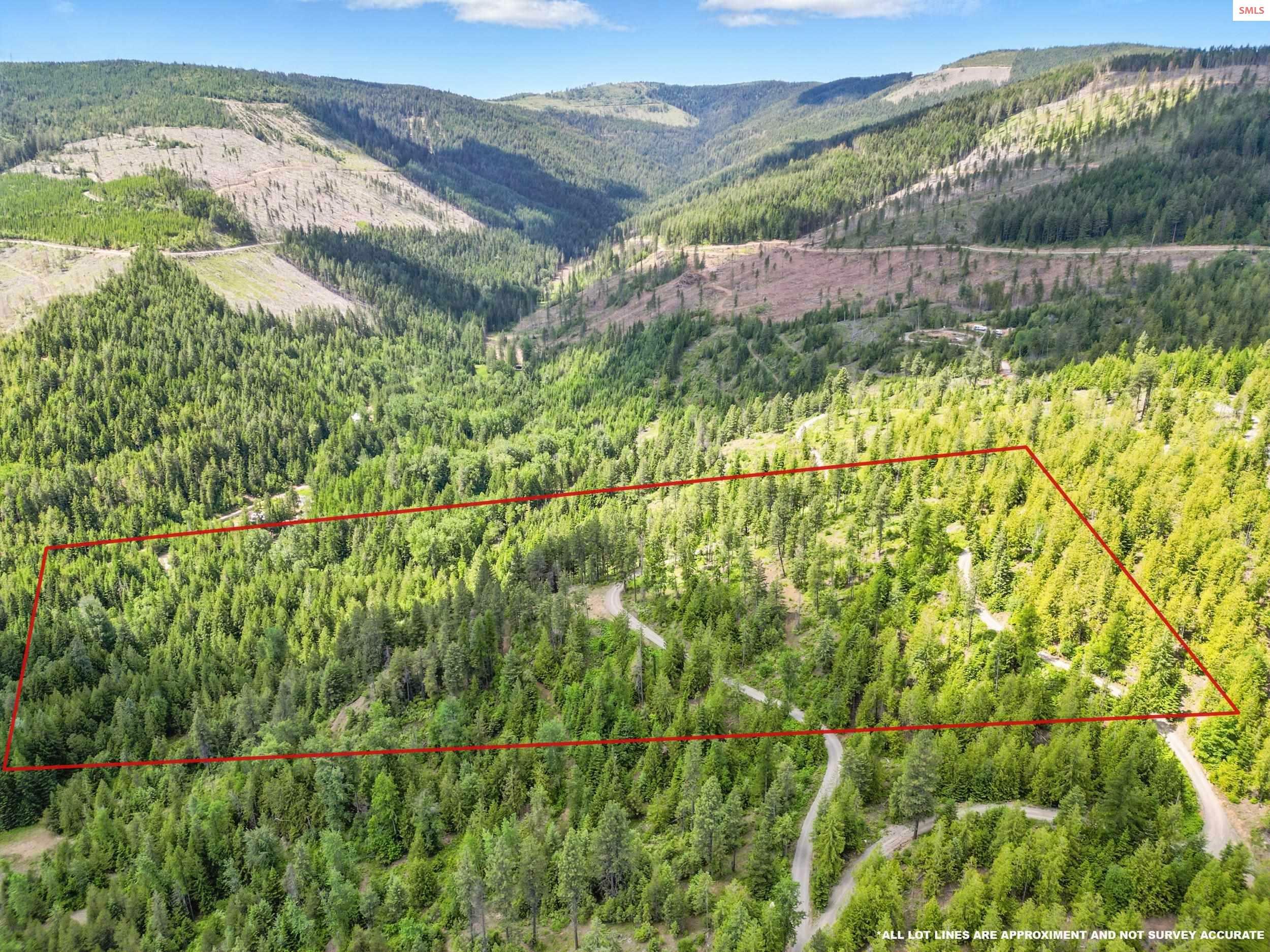 Property Photo: 20acres Mystery Moose Ln ID 83856