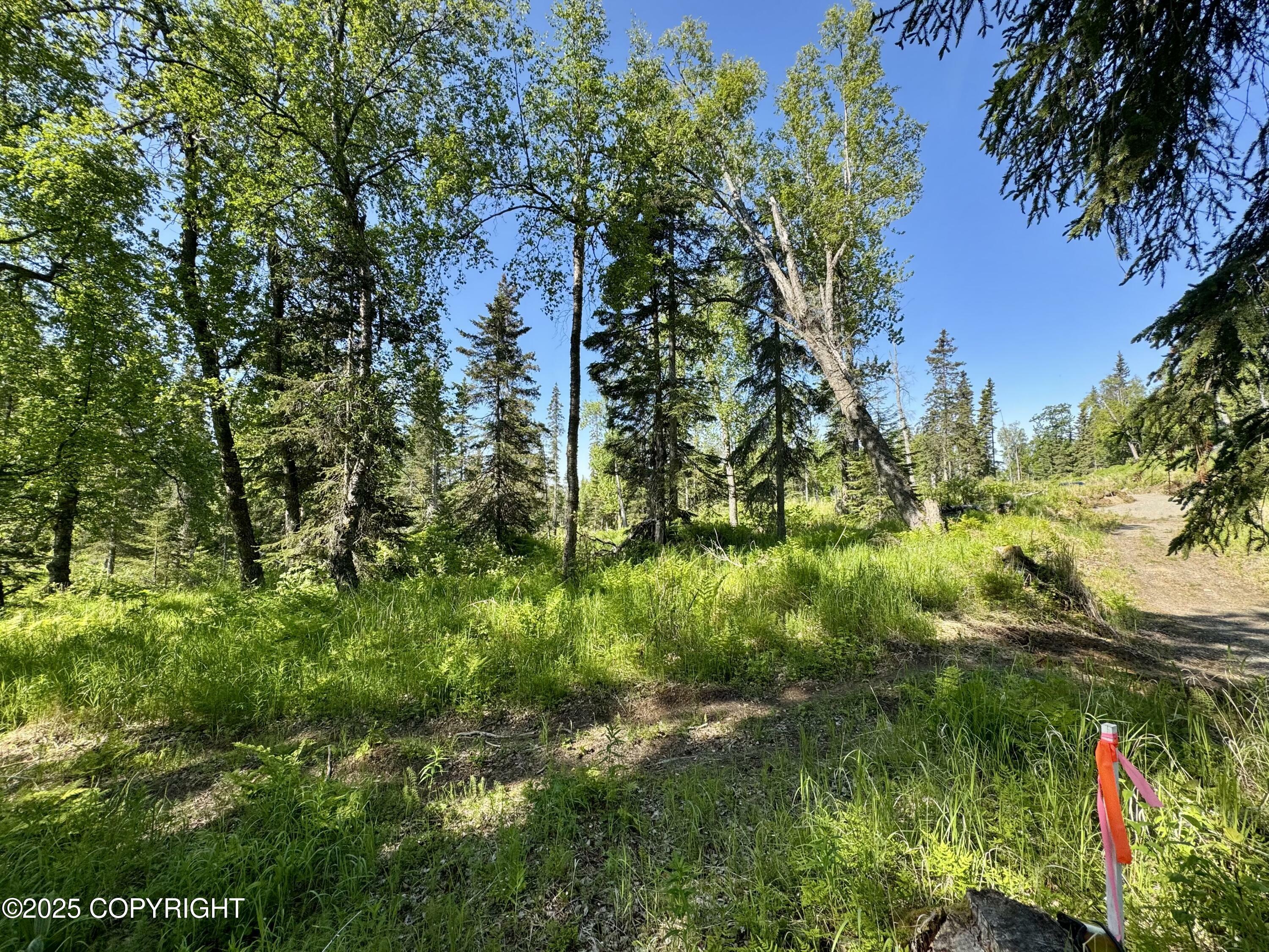 Property Photo: 53843 Glory Avenue AK 99611