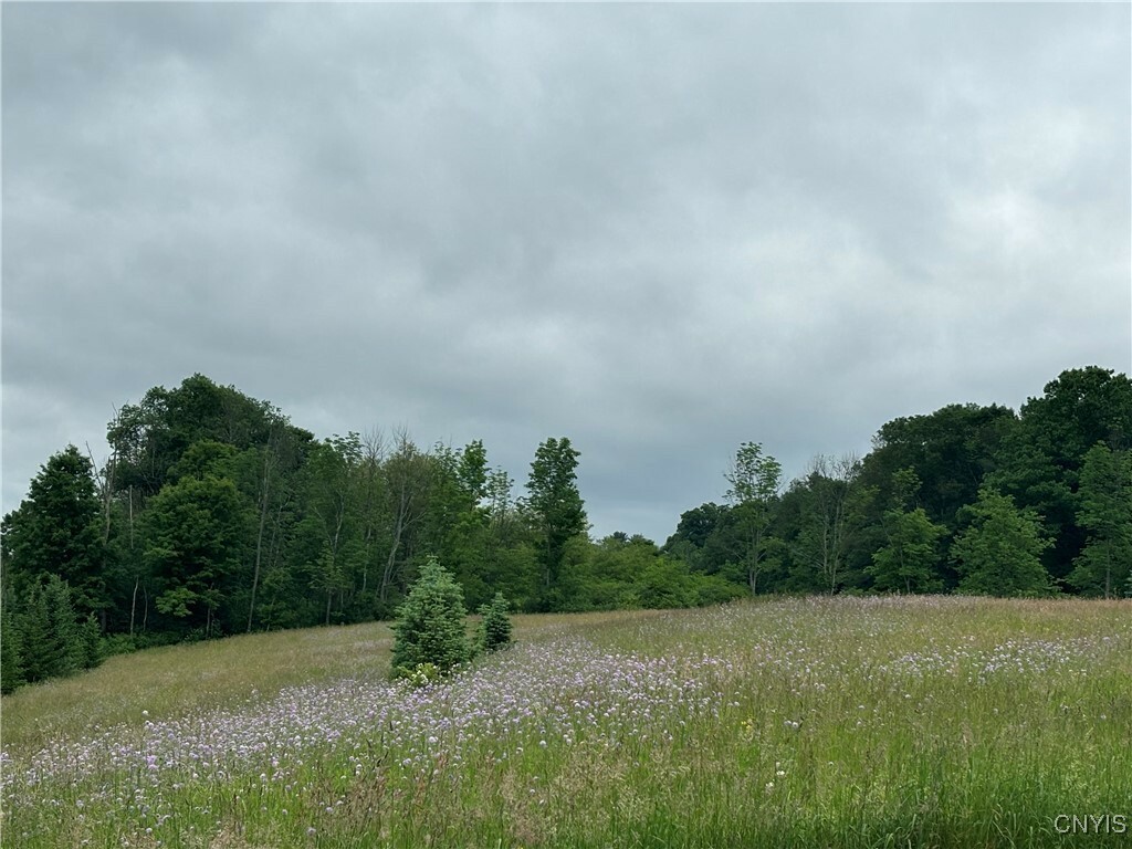 Property Photo: McGraw Marathon Road NY 13803