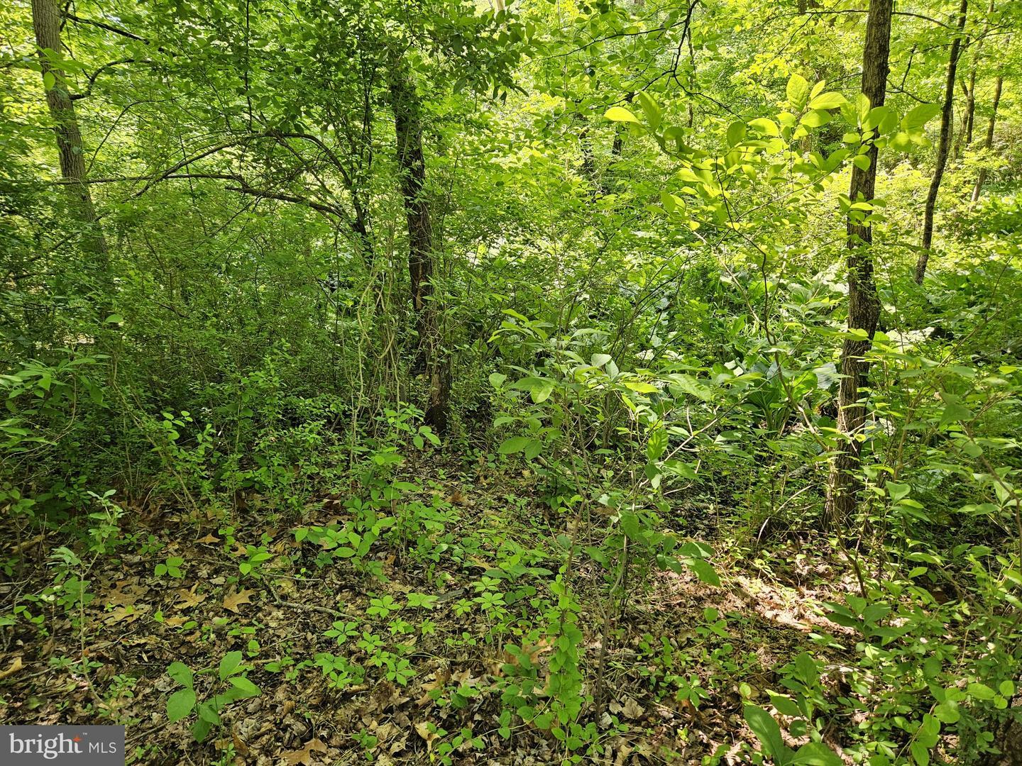 Property Photo: 0 Sandy Run PA 19067