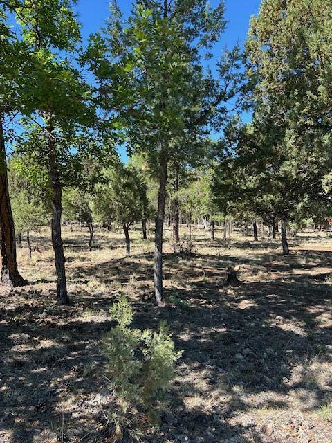 Property Photo: 4677 Starlight Drive AZ 86024