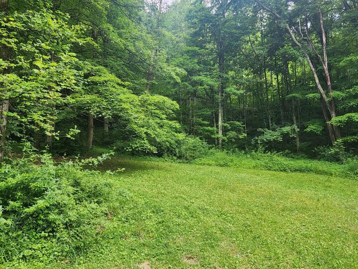 Property Photo: Route 39 WV 26651