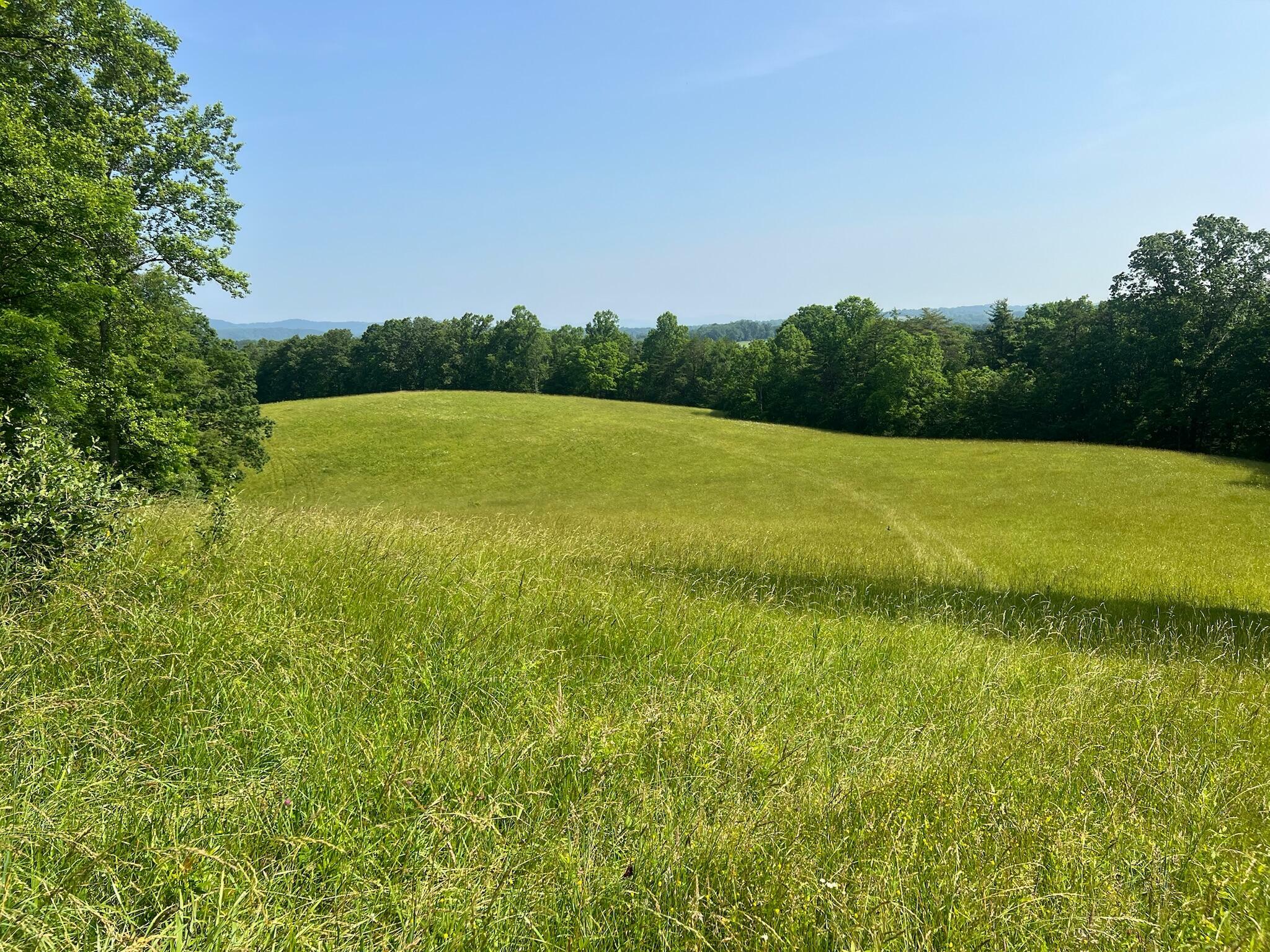 Property Photo: 2358 White Tree Hill Road WV 24918