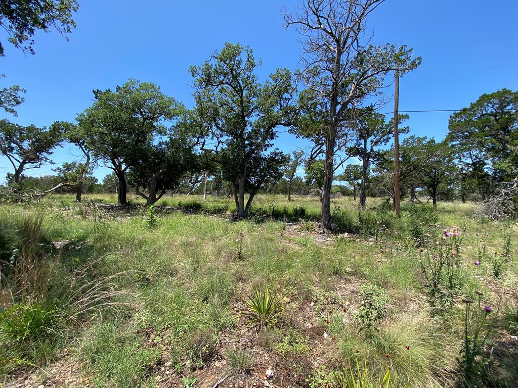 Property Photo: 190 Adkins Rd TX 78028