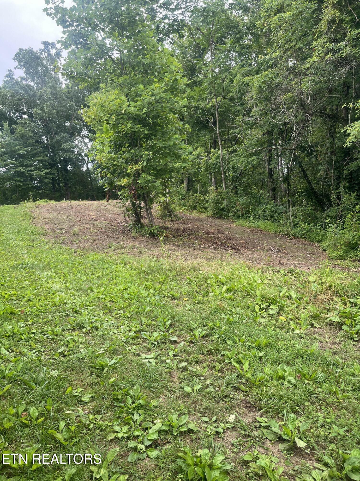 Property Photo:  Tbd Barker Rd  TN 37825 