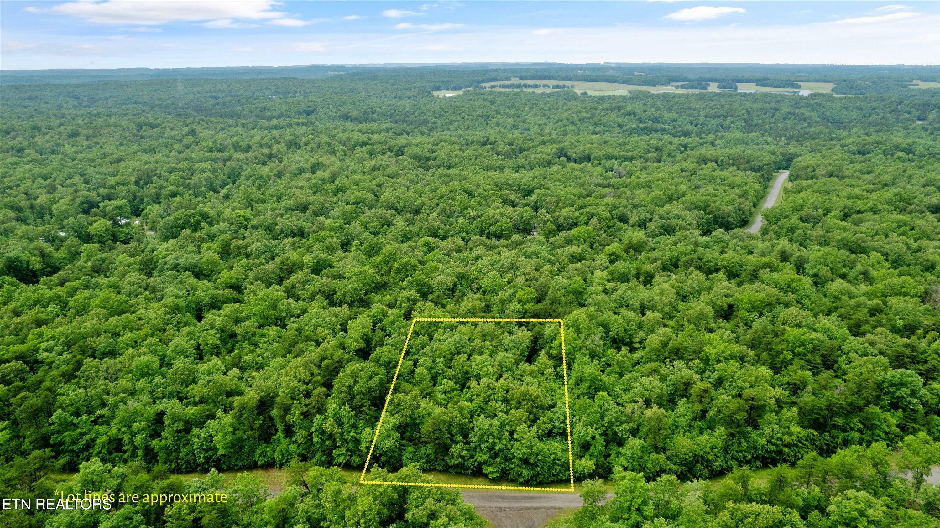 1.58 Ac Mountain Ash Drive  Monterey TN 38574 photo