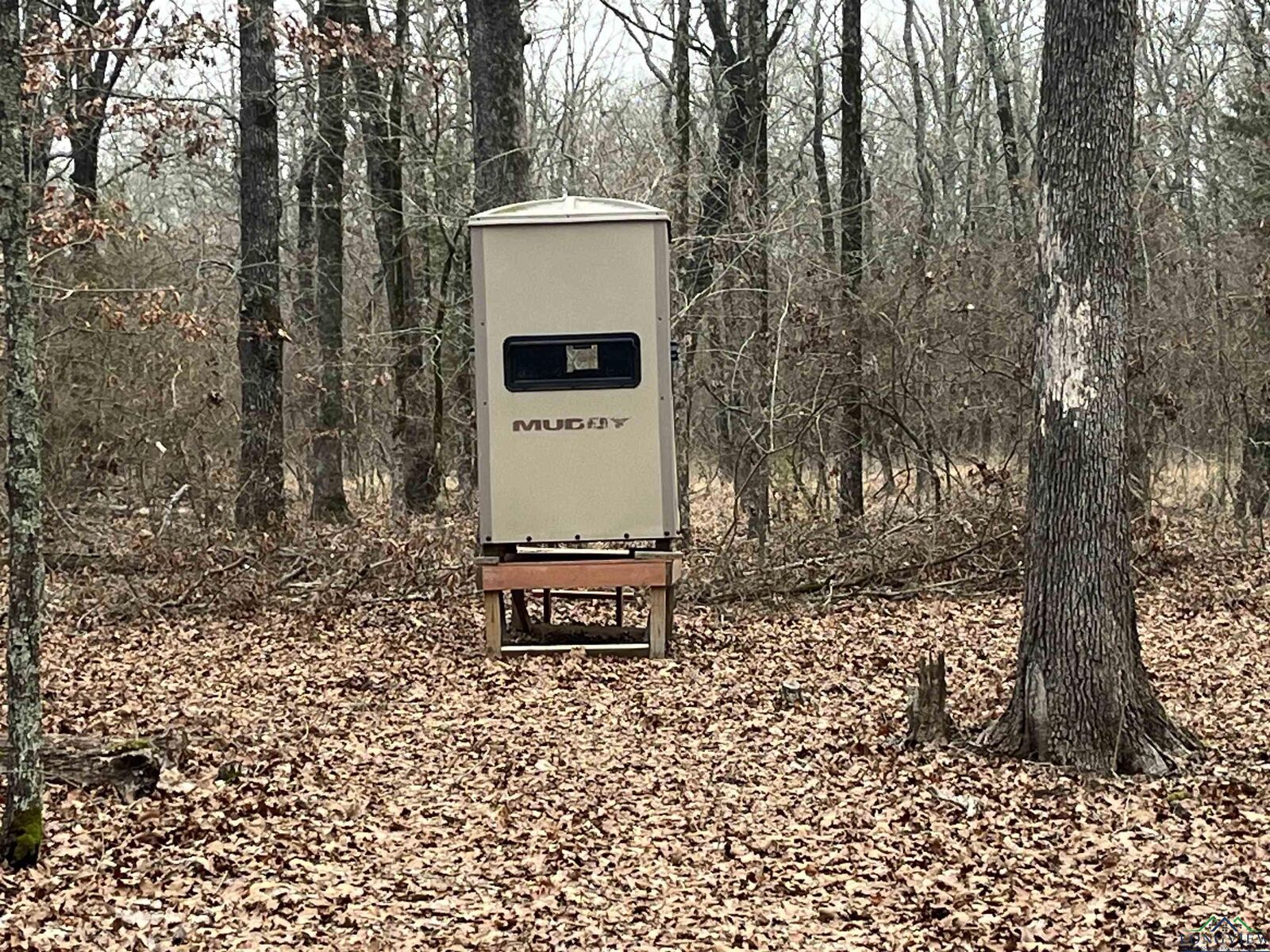 Property Photo: Tbd 196 TX 75417