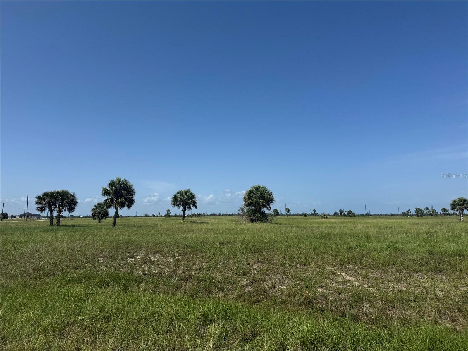 Property Photo: 55 Begonia Drive FL 33946