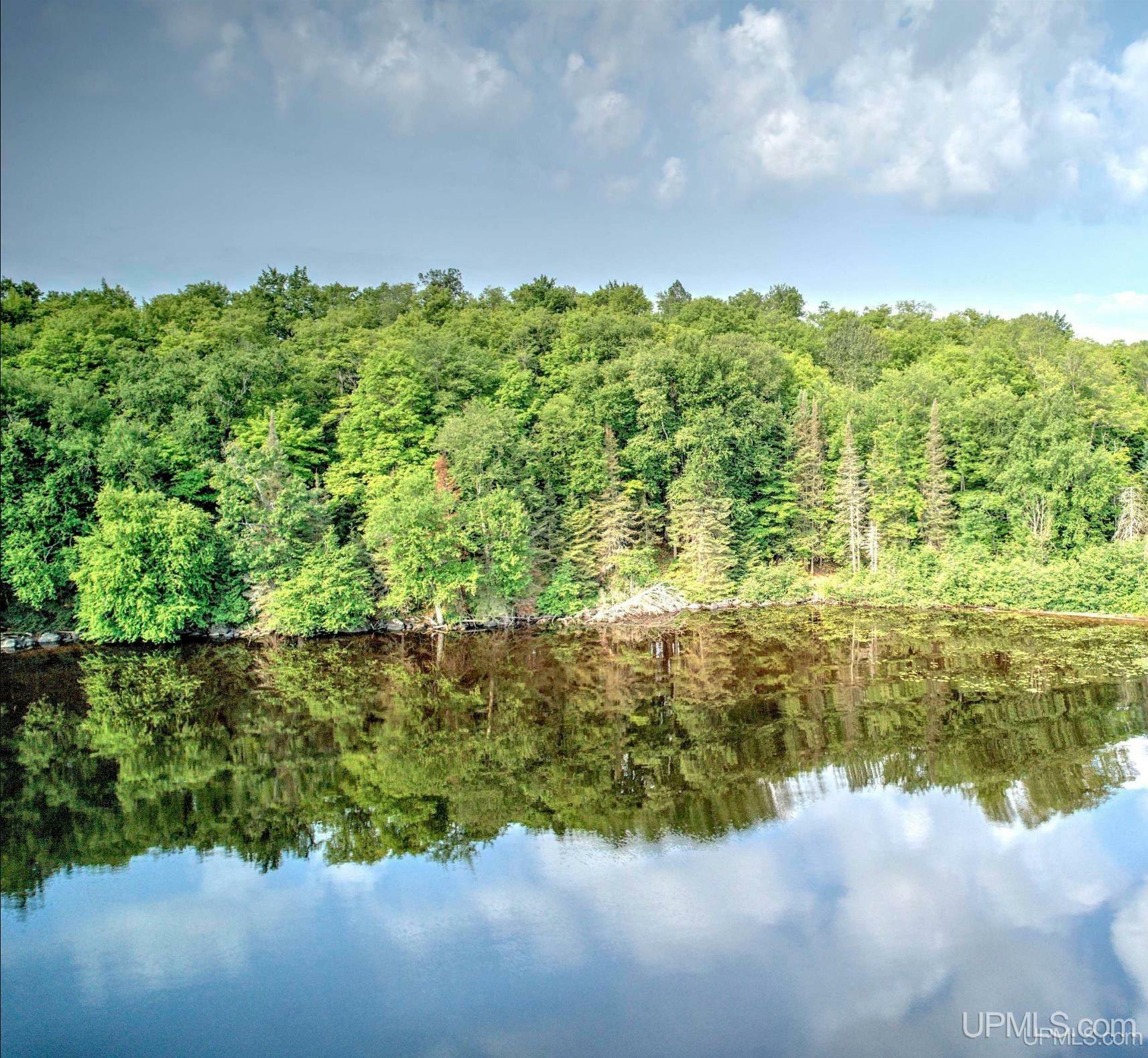 Property Photo: Parcel #2 Eagle Drive MI 49861