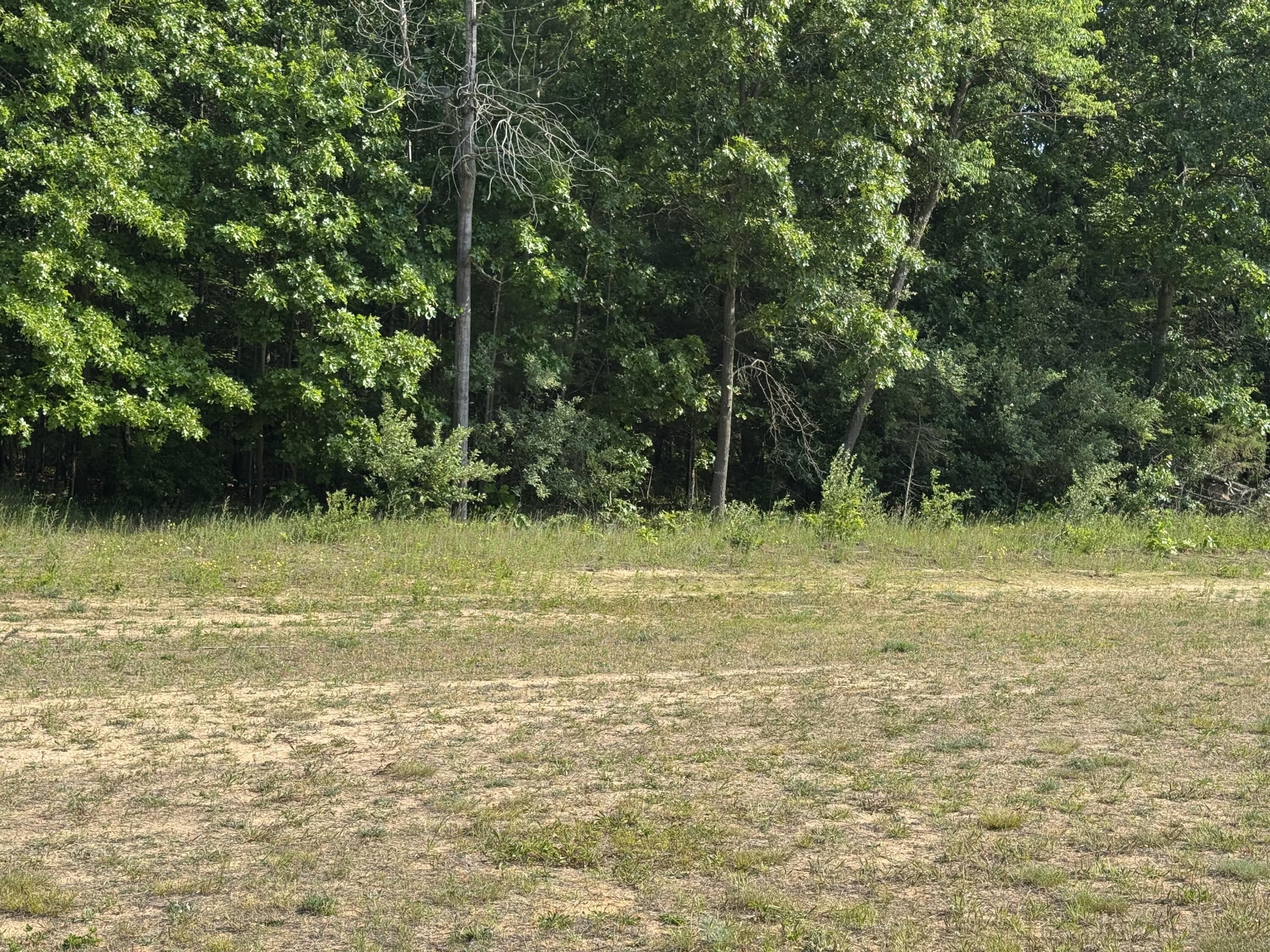 Property Photo: Vl 7 Mile Road MI 48809