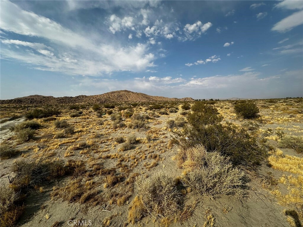 Property Photo: 1 St Anthony Avenue CA 92301
