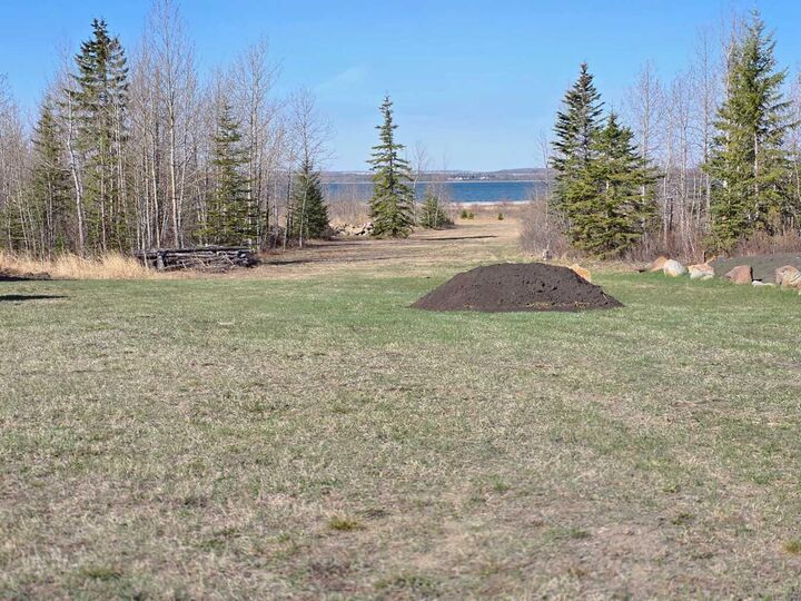 Property Photo: 681 Springside Crescent AB T0C 2J0
