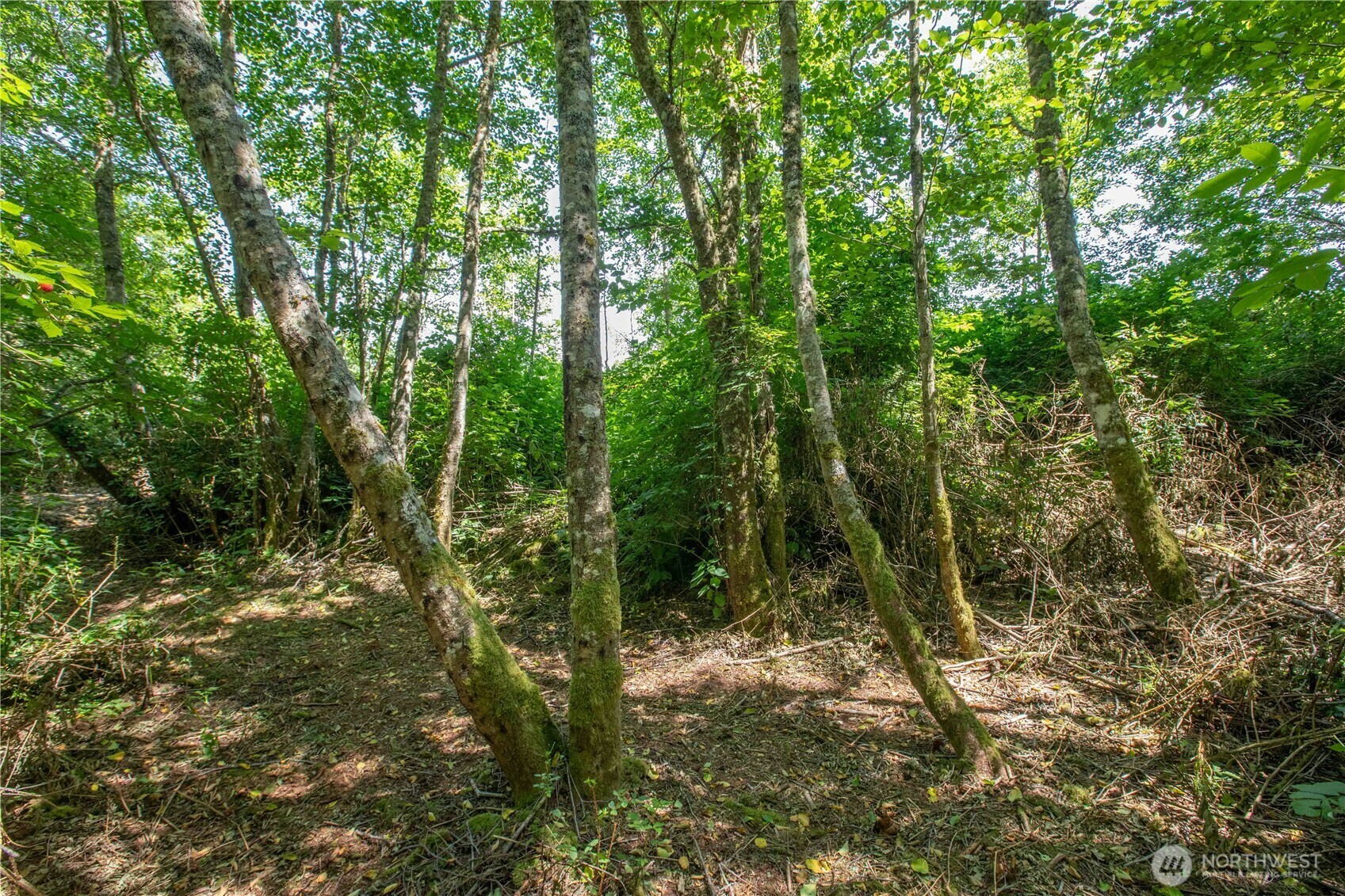 0 Xxx  Lake Mastie Road  Coupeville WA 98239 photo