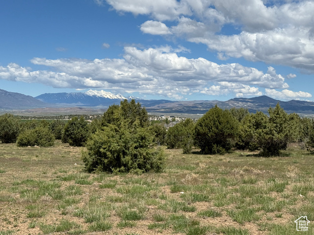 Unknown  Spring City UT 84662 photo