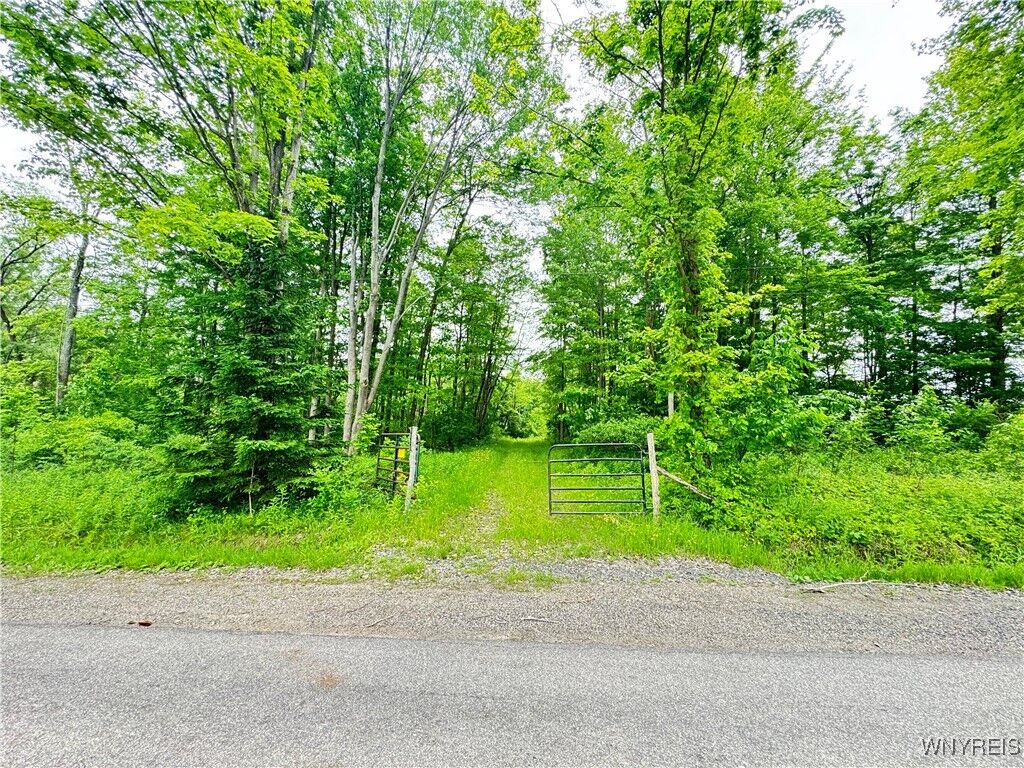 Property Photo: 4371 Lawson Road NY 14701
