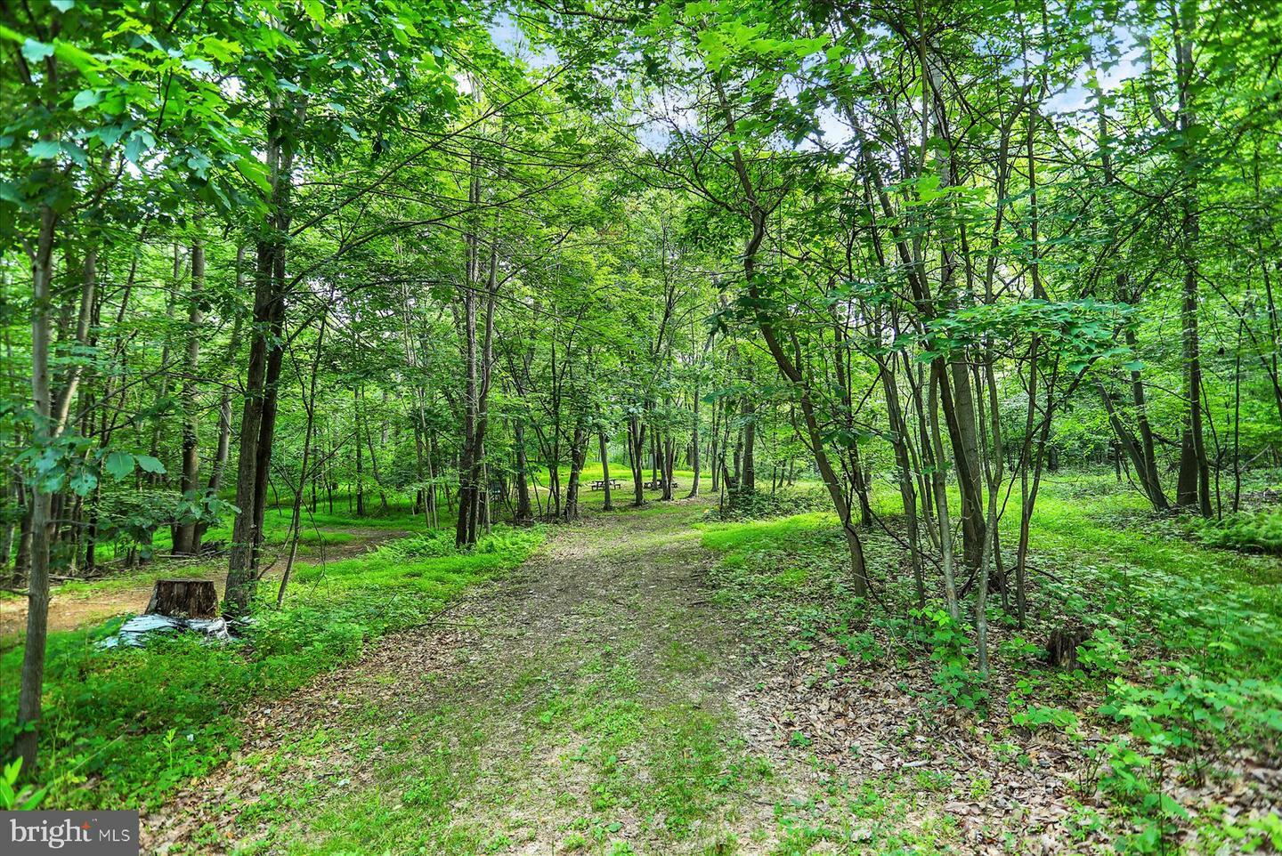 Property Photo: 0 Shull Hill Road PA 17074