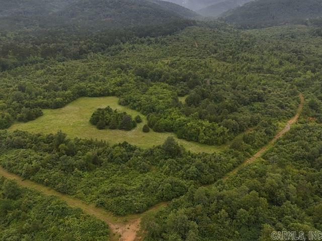 Property Photo: Unk Polk Road 72 AR 71953