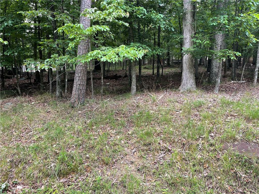 Property Photo: 133 Pawnee Street GA 30183