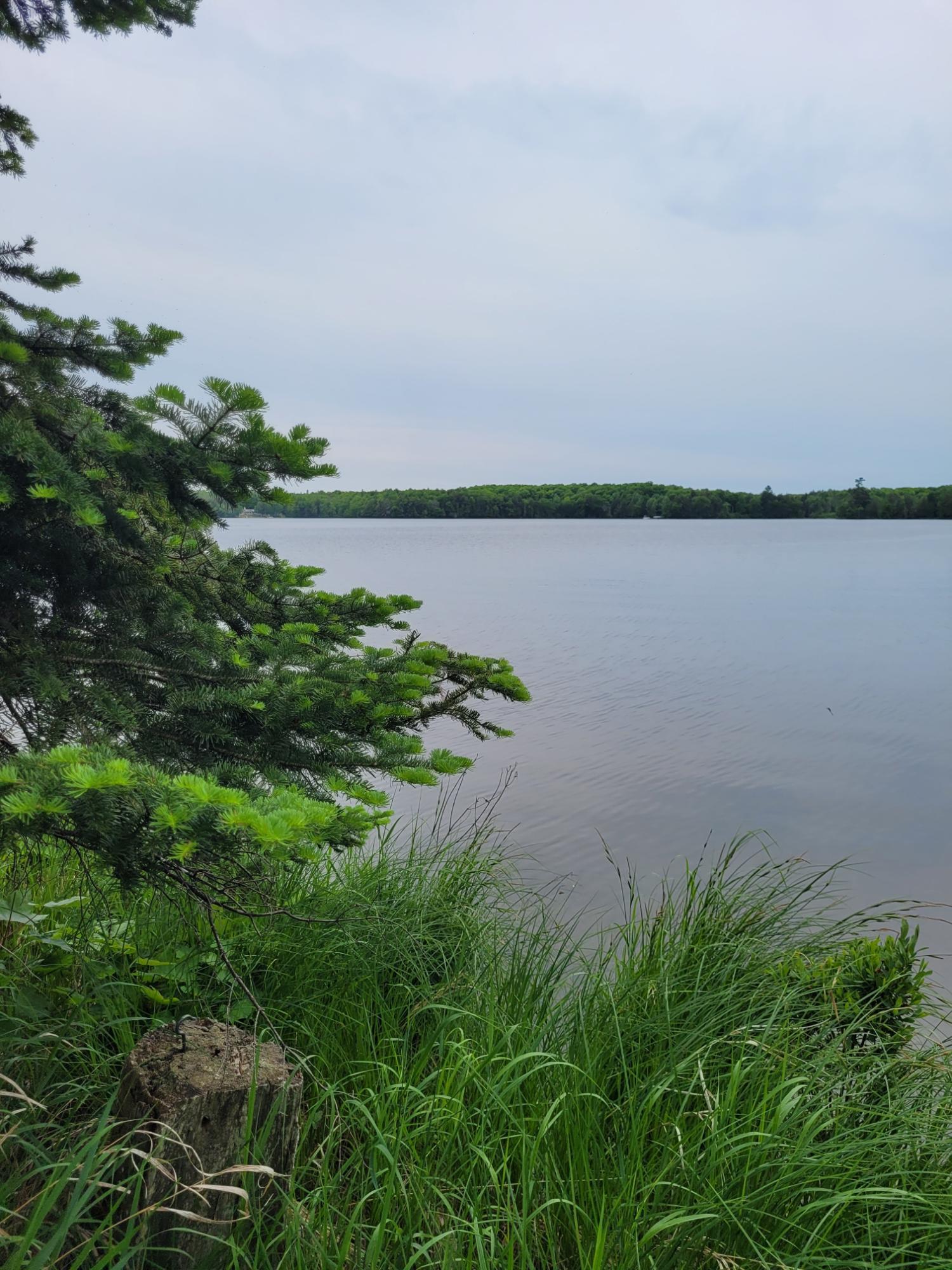 Property Photo: On Pardee Lake Ln E WI 54557