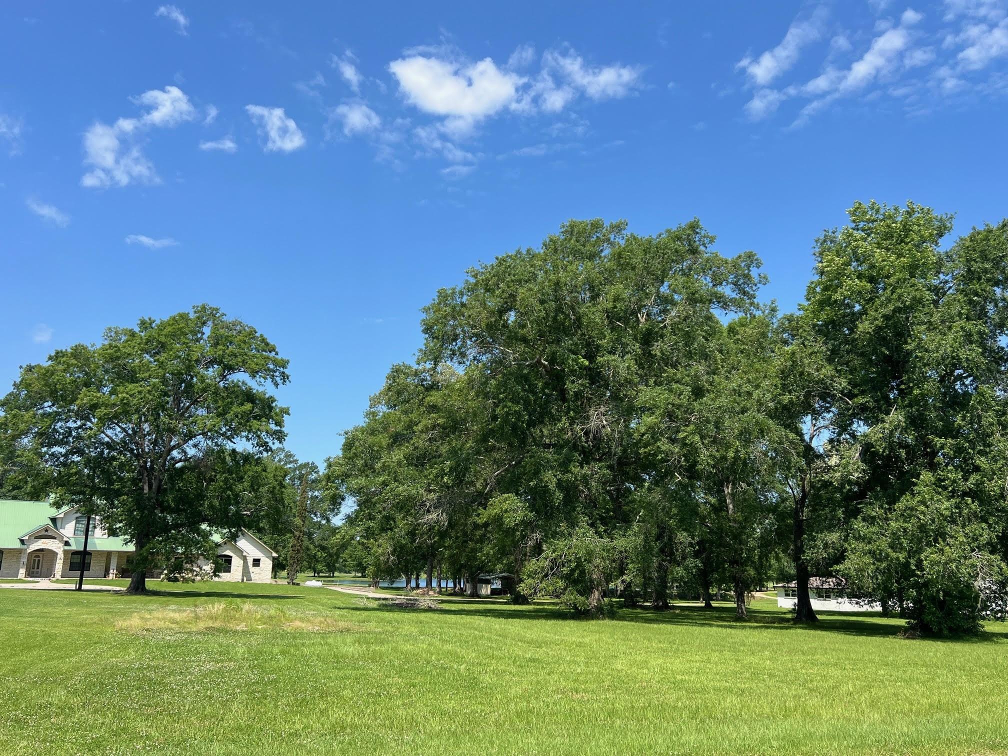 Property Photo: 240 Rosalie Street TX 77371