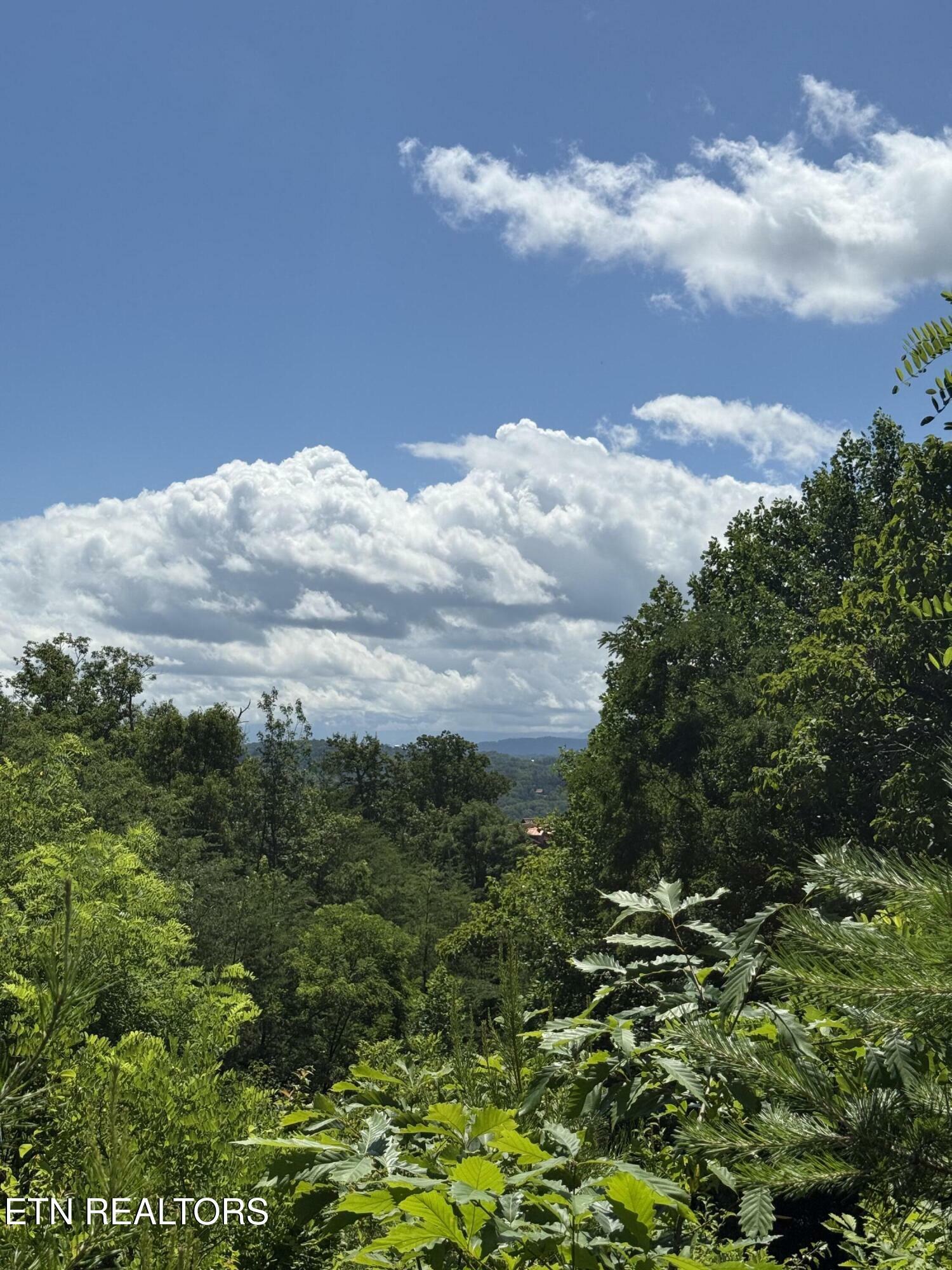 Property Photo: 0 Smoky Vista Way TN 37862