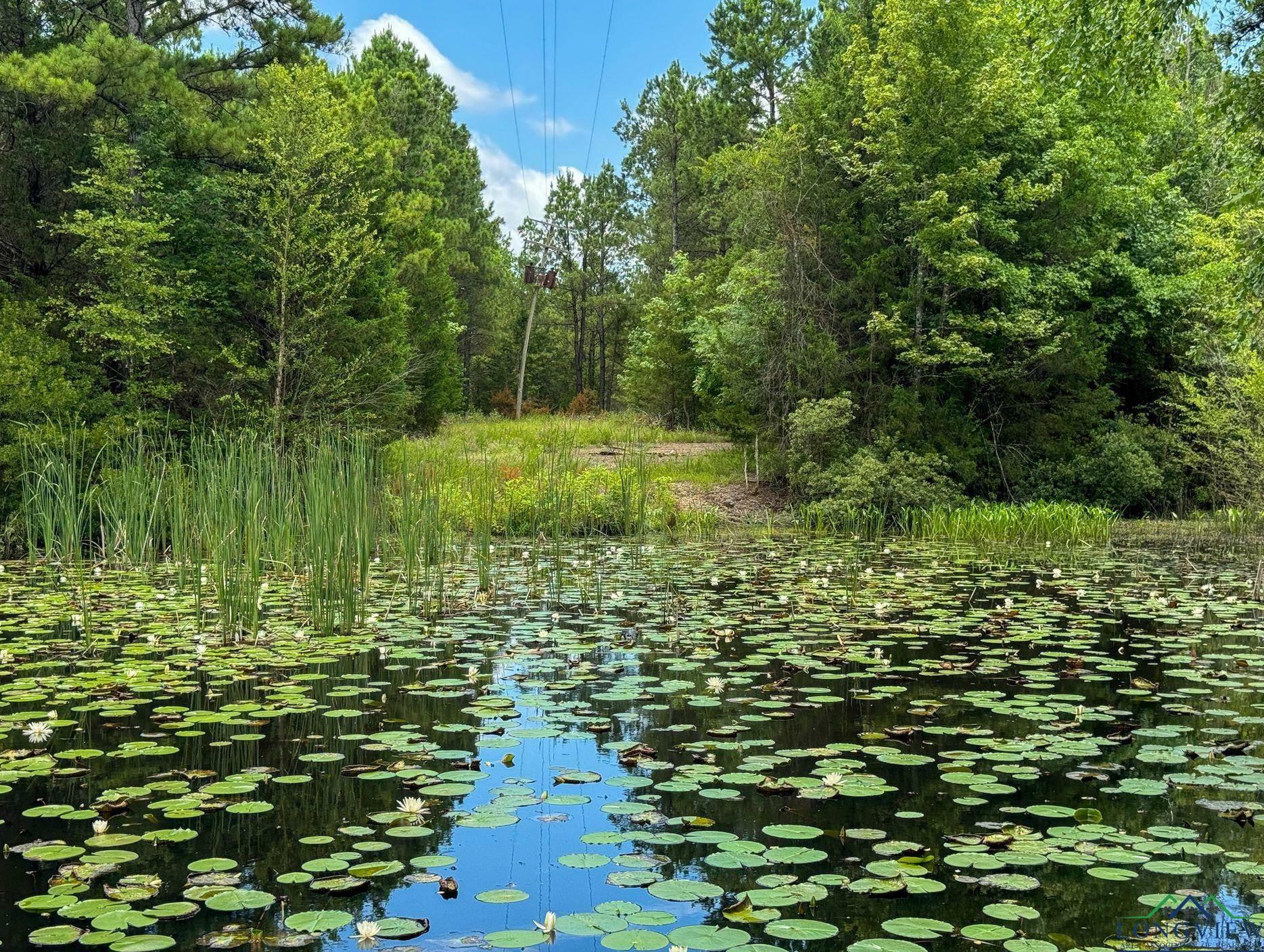Property Photo: 0000 Farm To Market 3421 TX 75668