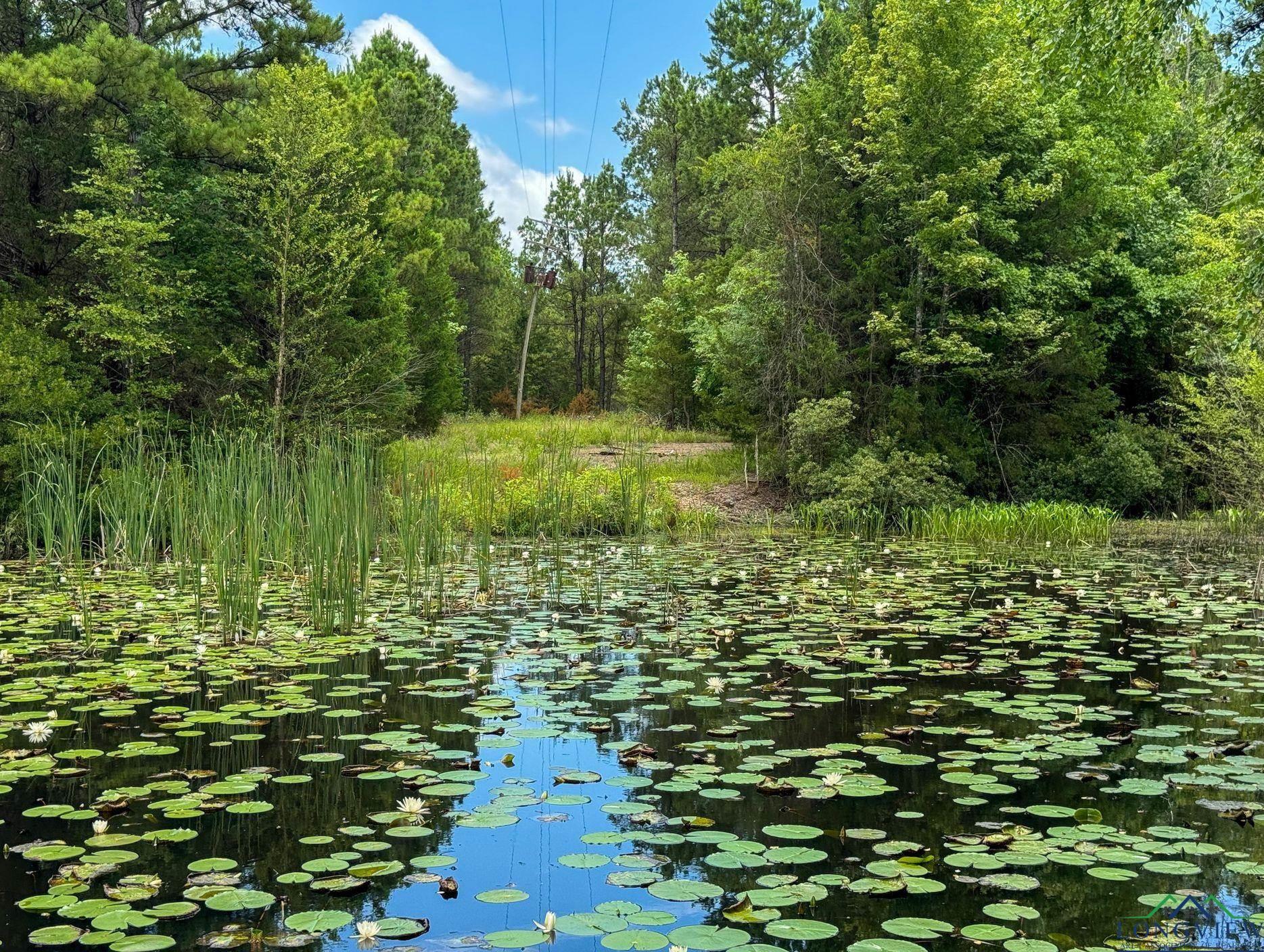 Property Photo: 0000 Farm To Market 3421 TX 75668