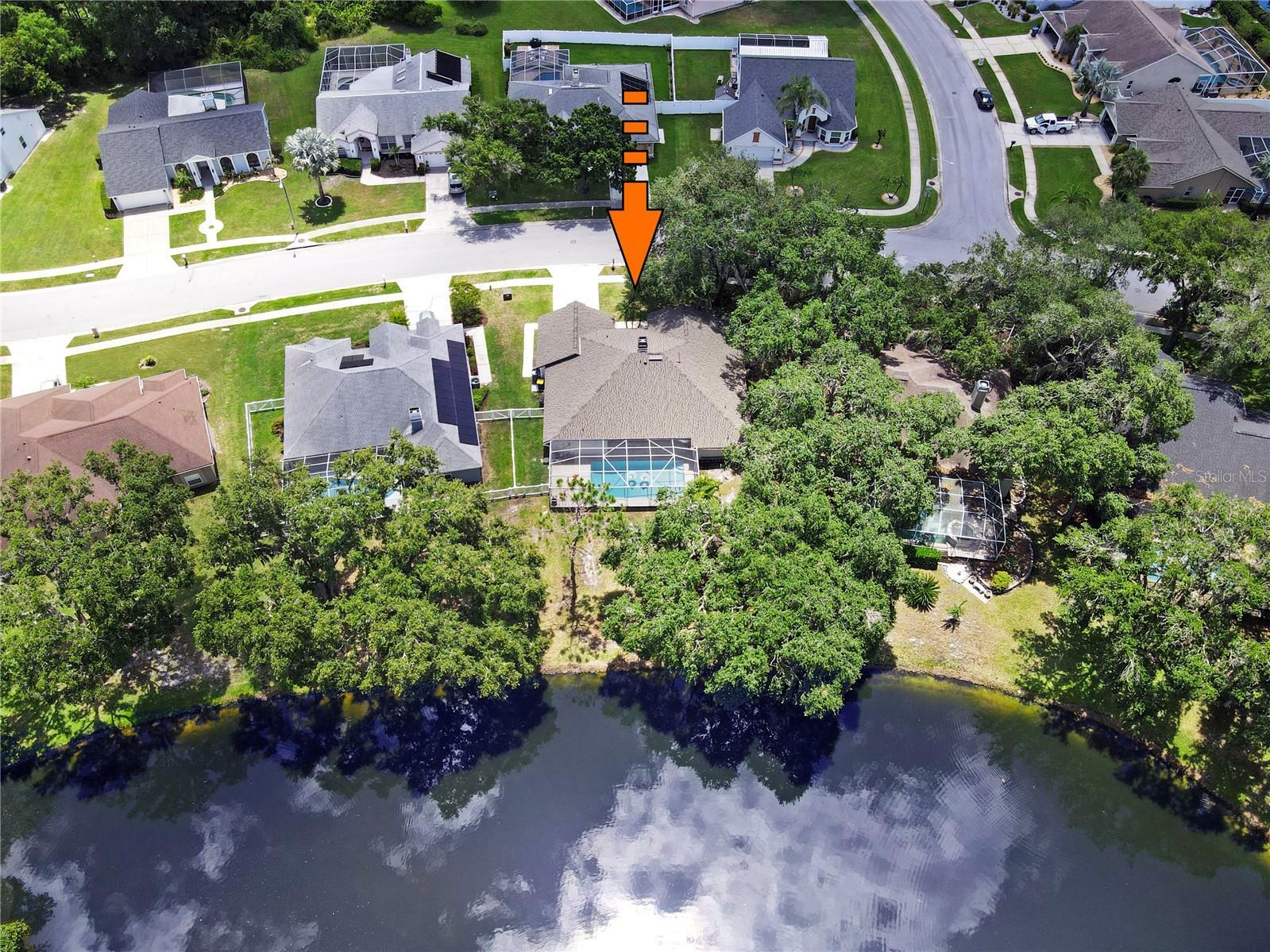 Property Photo: 4617 Basswood Street FL 34639