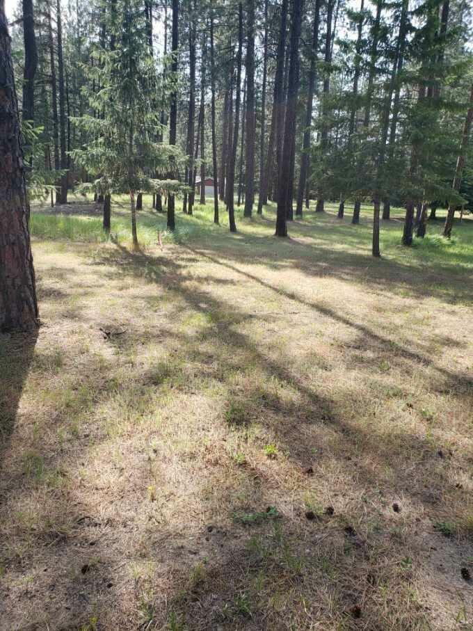 Property Photo: 251 Eagle Dr WA 99109