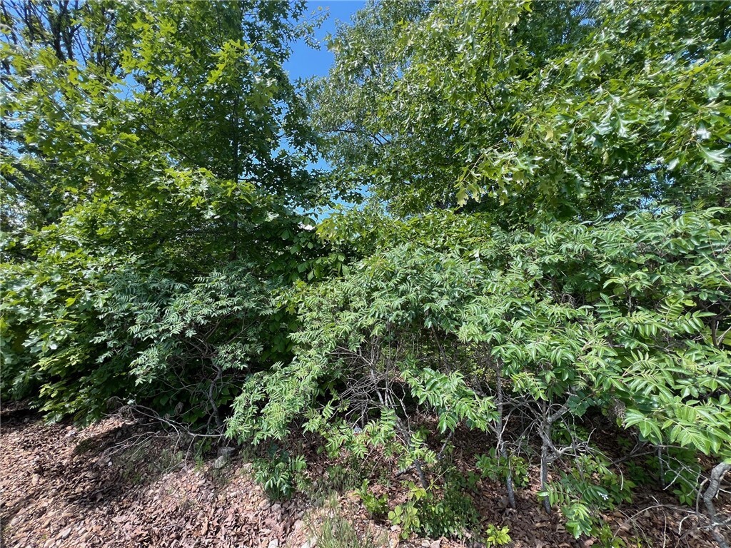 Property Photo: Tbd Eagle View Court AR 72601