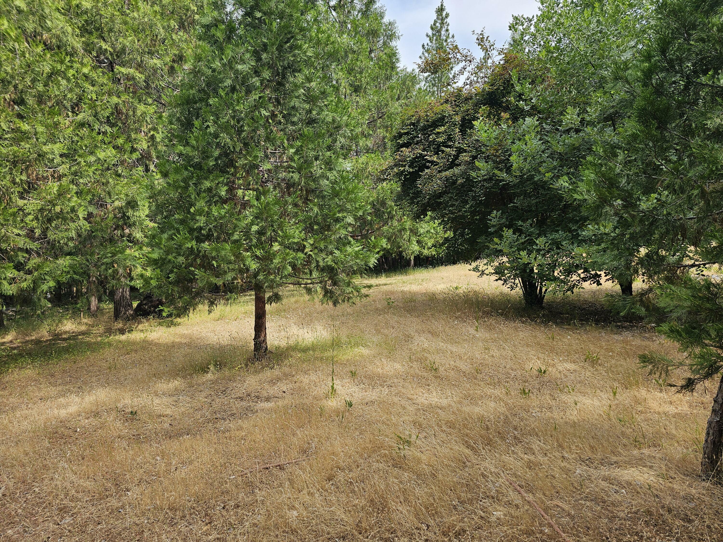 Property Photo: 5274 Cloverlawn Drive OR 97527