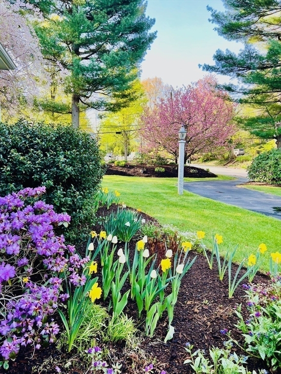 Property Photo: 30 Pleasant St South MA 01760