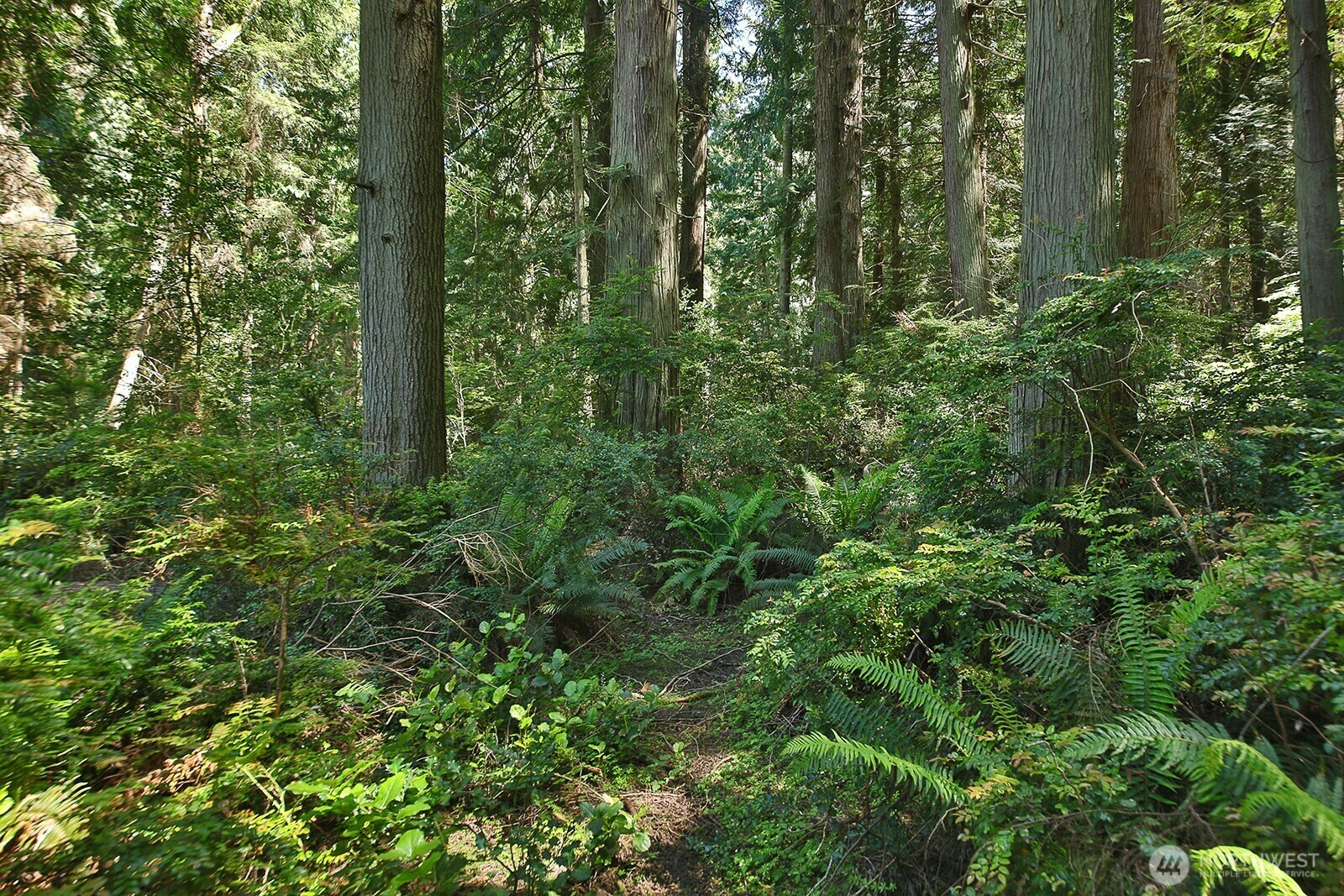 Property Photo:  0 Xxx  East Harbor Road  WA 98249 