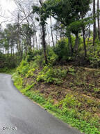 Property Photo: Lot 0000 Indigo Lane TN 37862