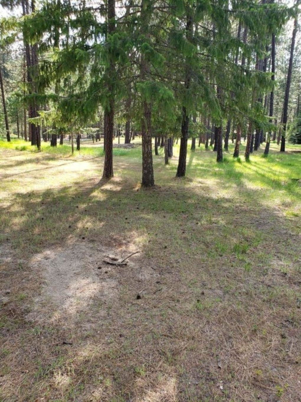 Property Photo: 256 Eagle Dr WA 99109