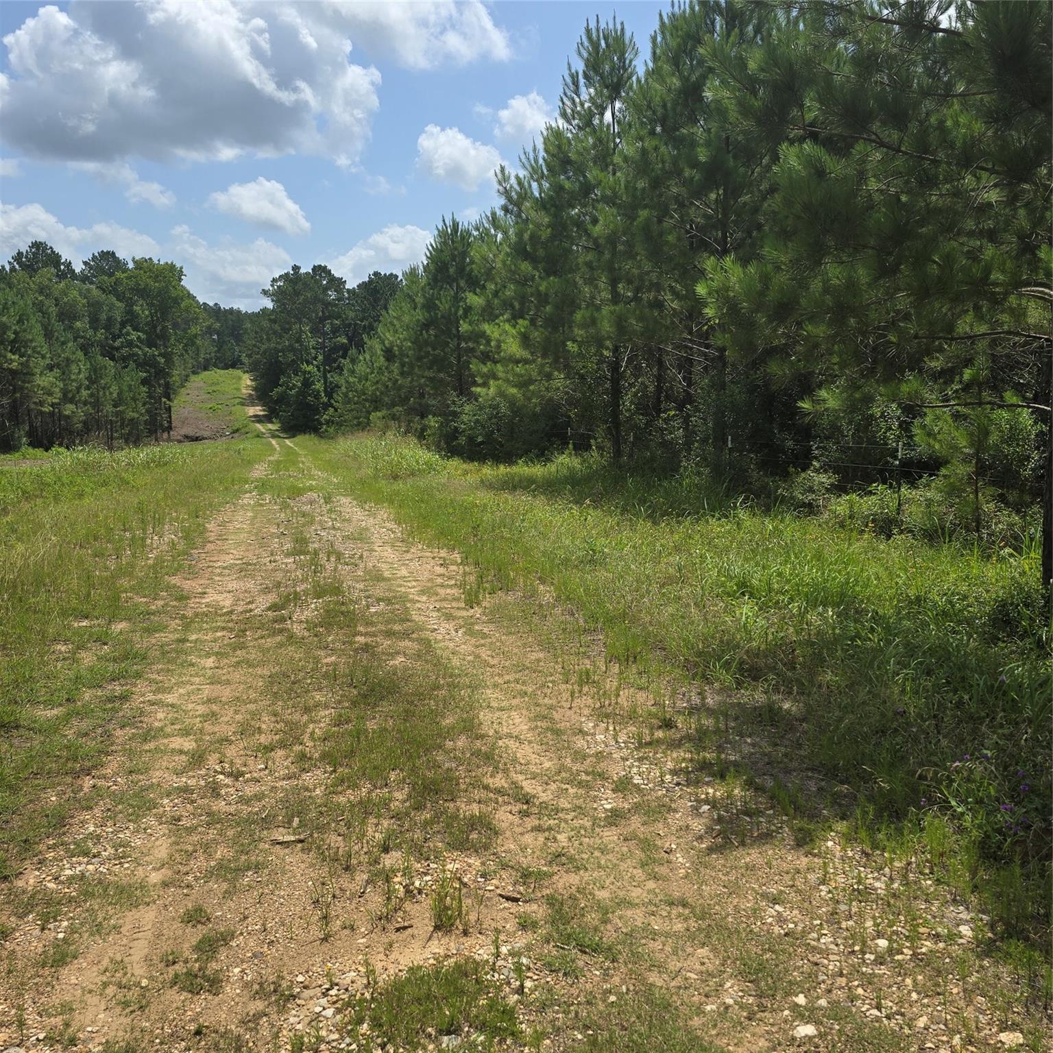 Property Photo: Tbd Hammond Road TX 77351