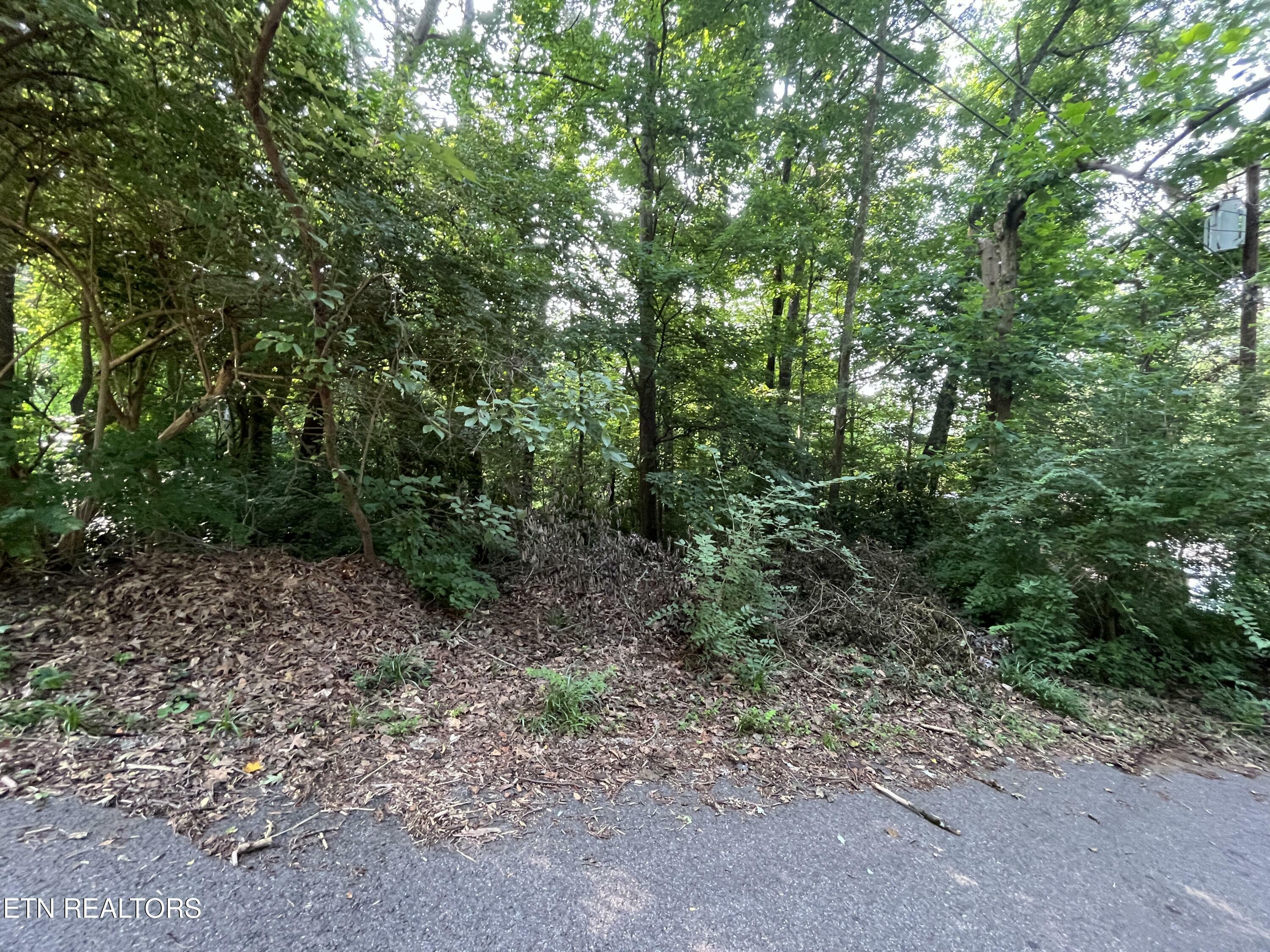 Property Photo: 2504 Craghead Lane TN 37920