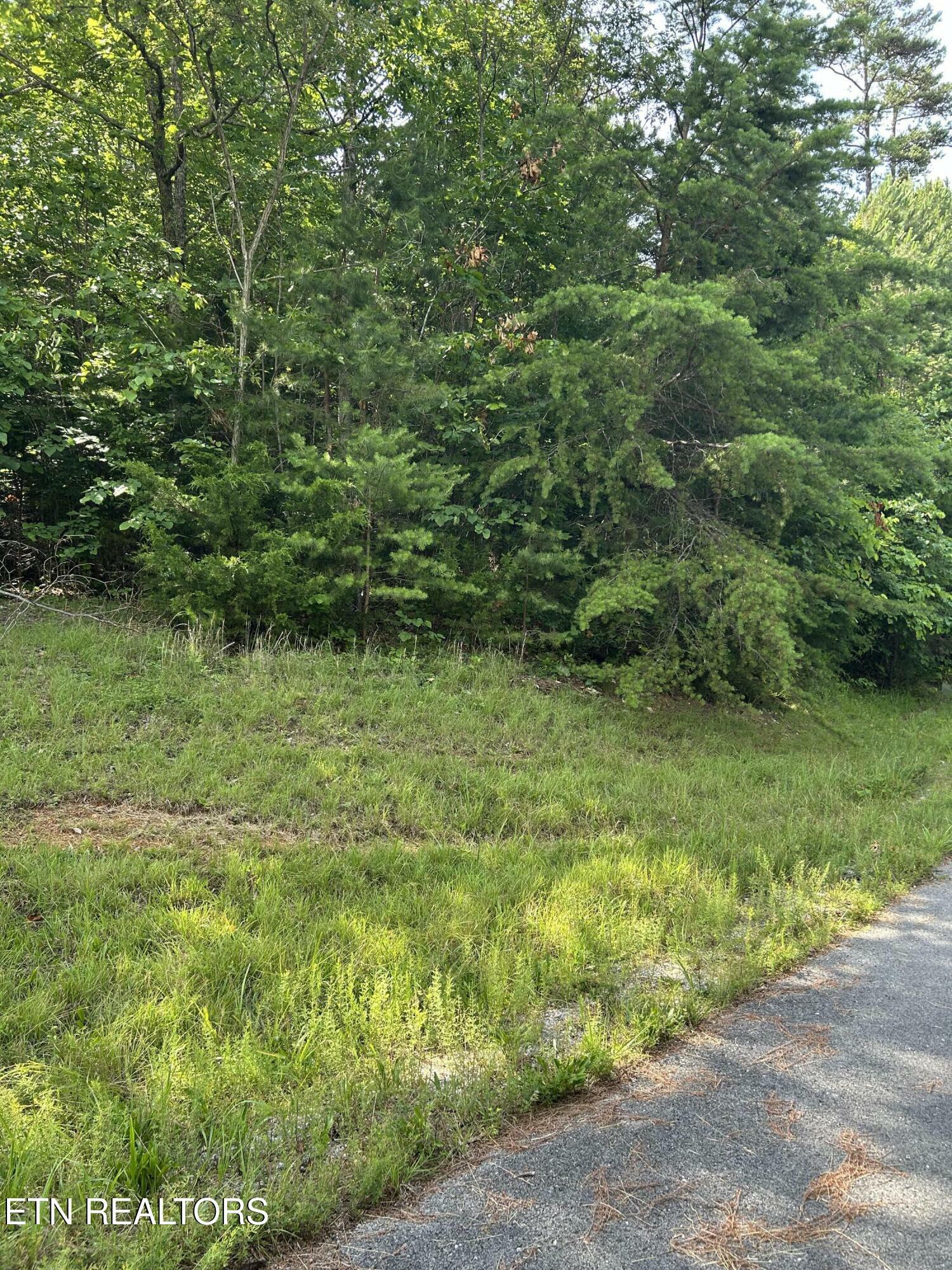Property Photo: Beryl Court TN 37824