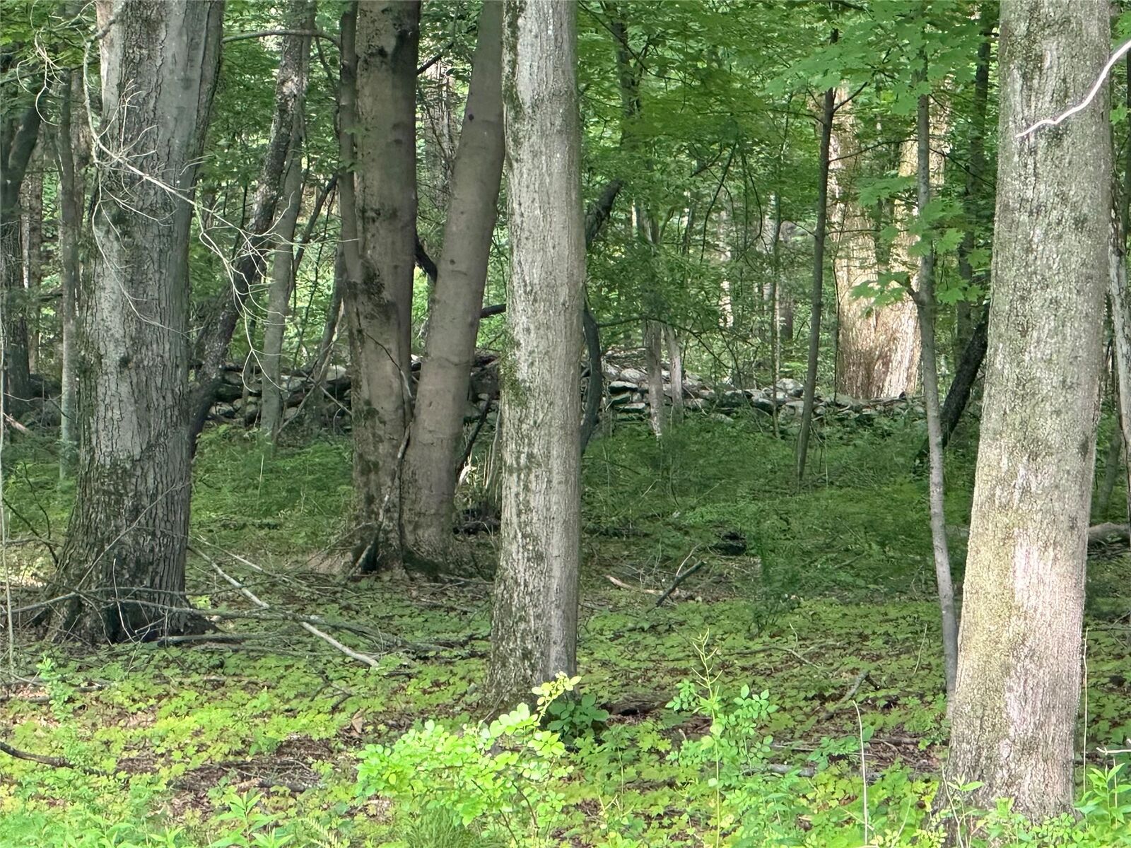 Property Photo: 251 Fosler Road NY 12528