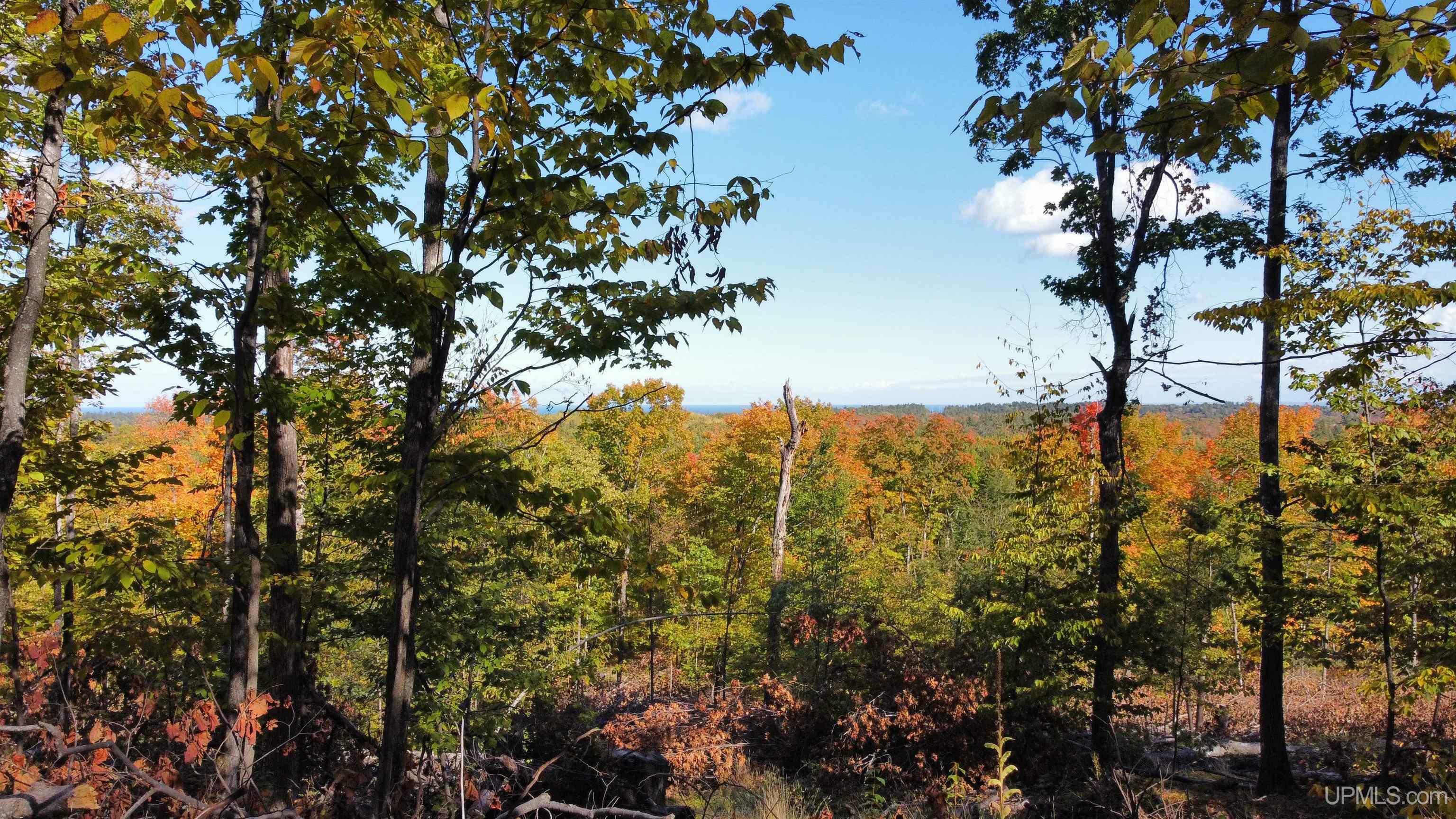 Property Photo: Tbd Neejee Road MI 49866