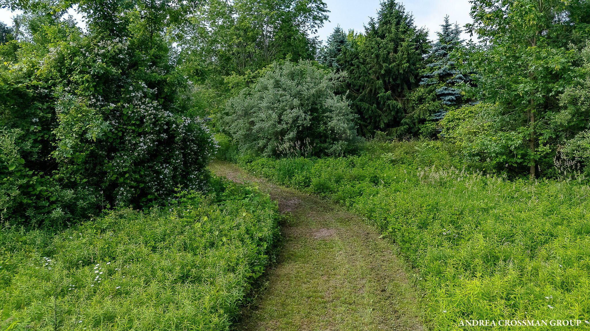 Property Photo: 9325 S Cedar Drive MI 49401